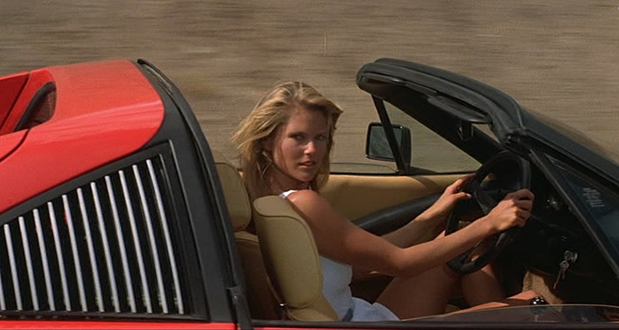 Christie Brinkley