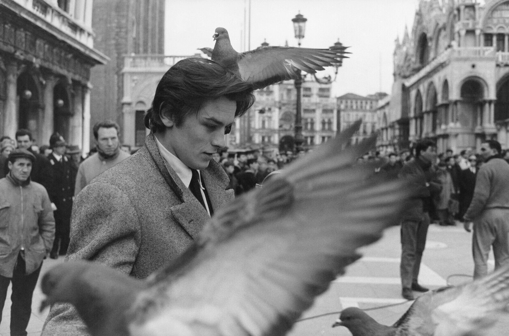 Alain Delon
