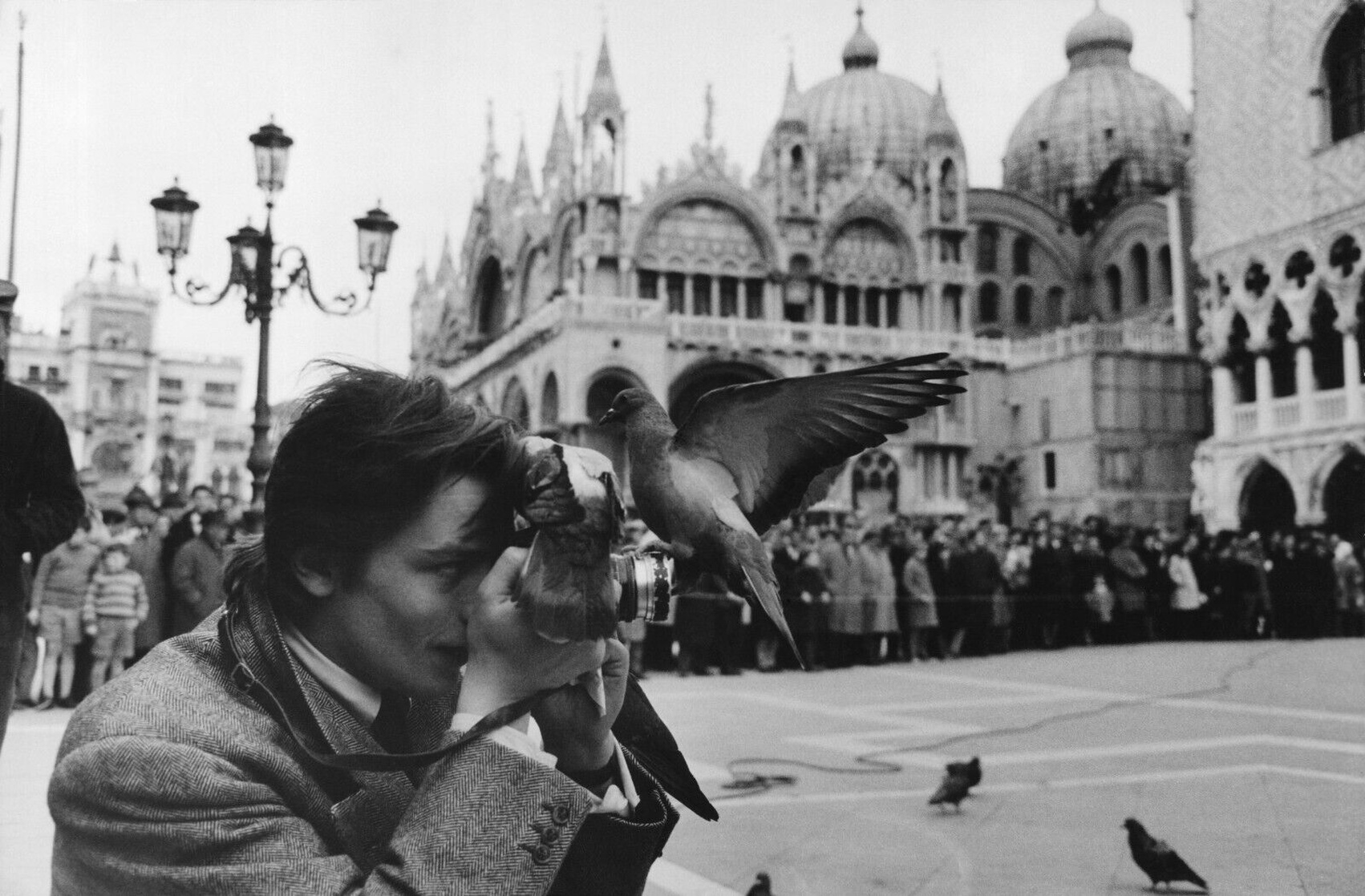 Alain Delon