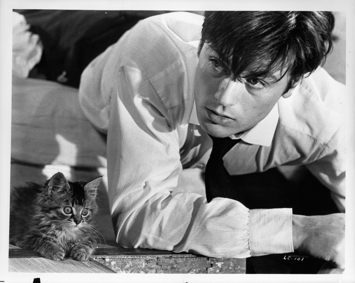 Alain Delon