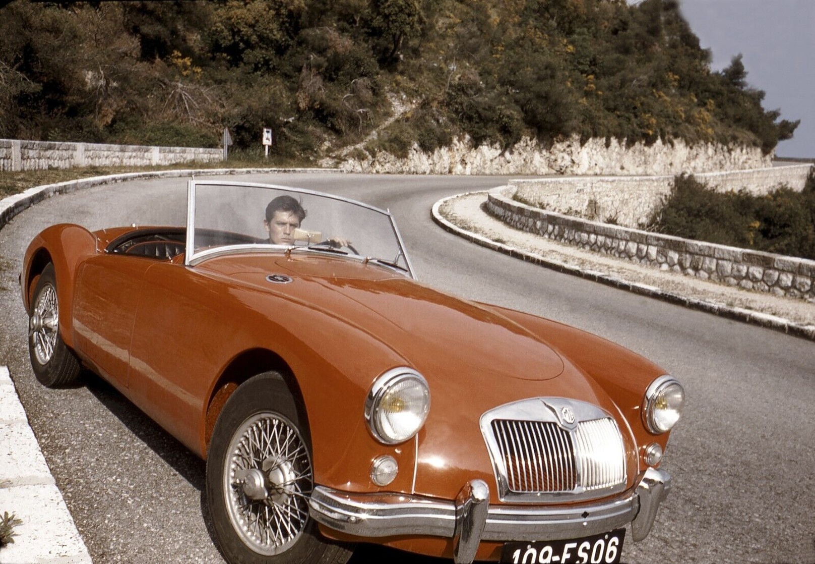 Alain Delon