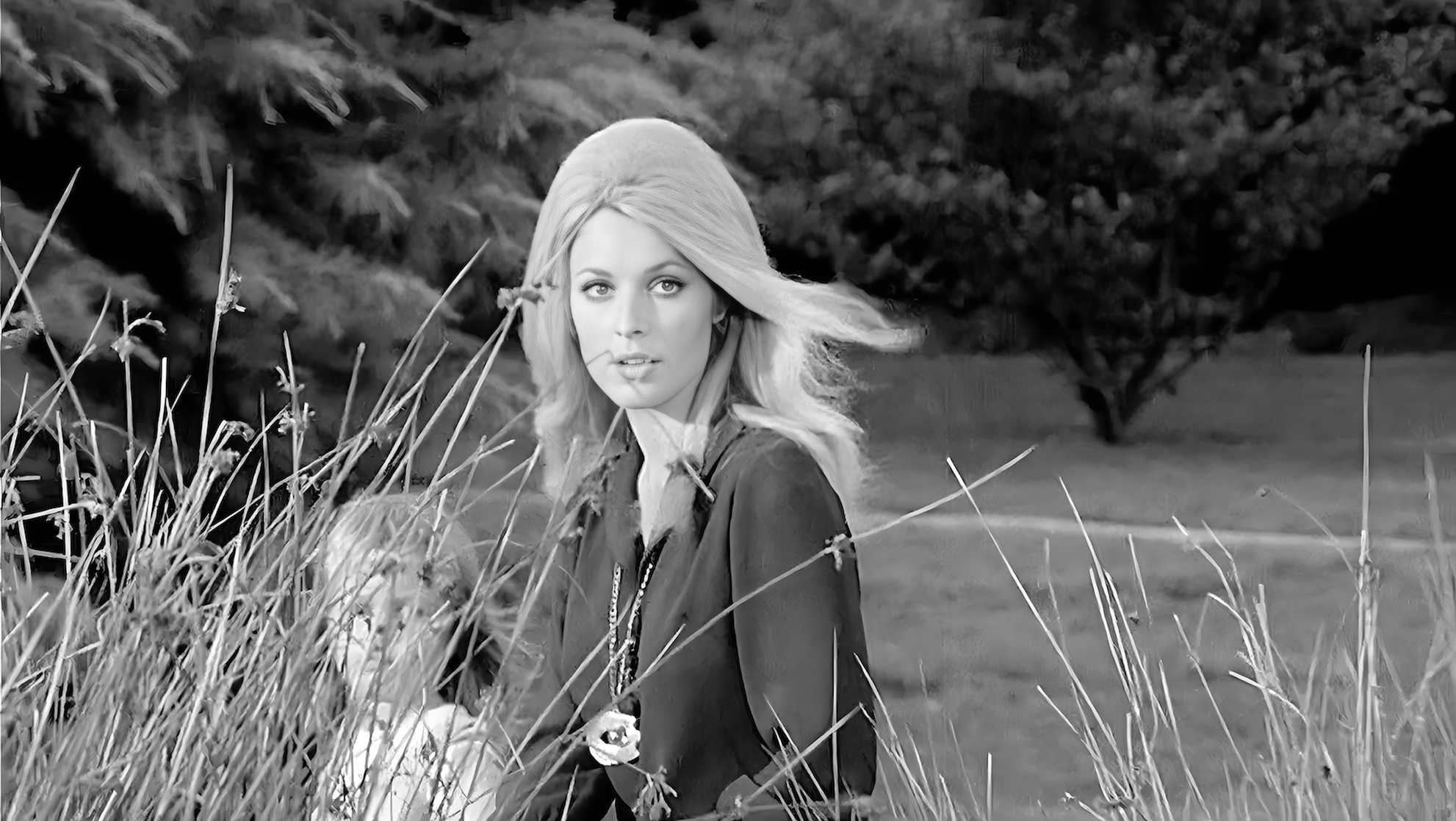 Sharon Tate Sharon Tate