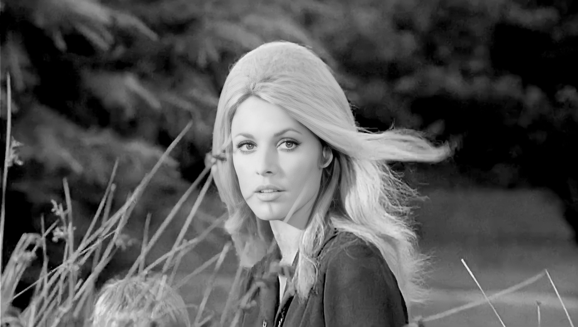 Sharon Tate Sharon Tate