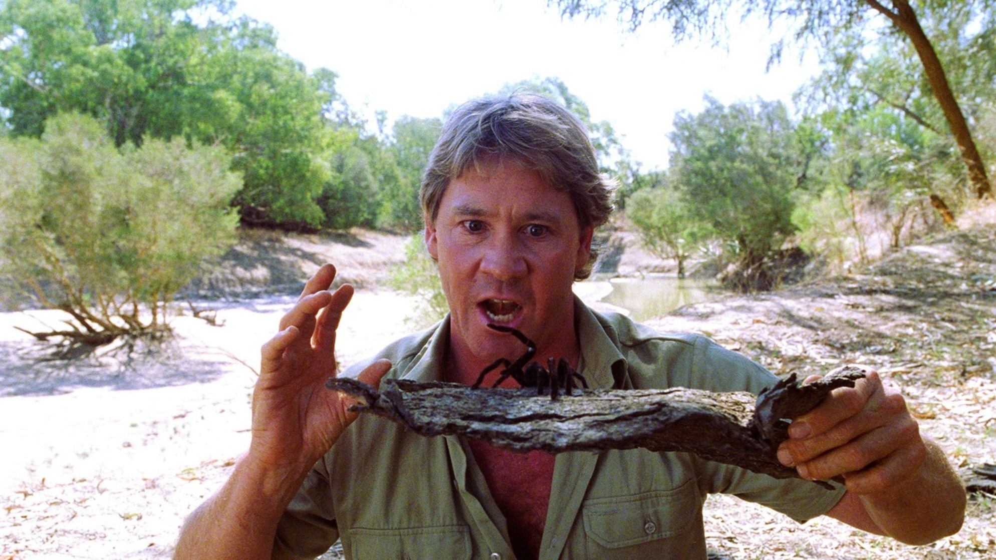 The Crocodile Hunter: Collision Course