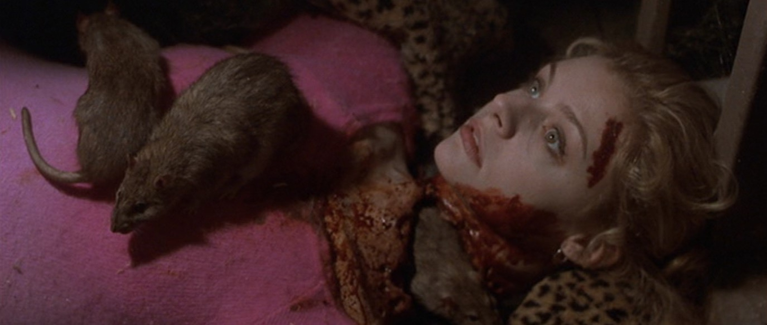 Urban Legends: Final Cut