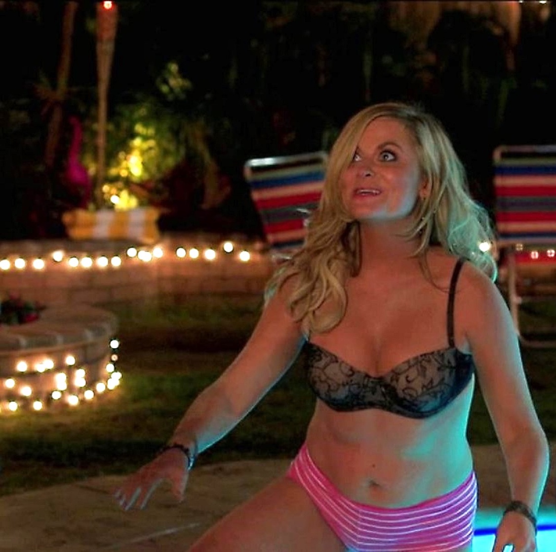 Amy Poehler