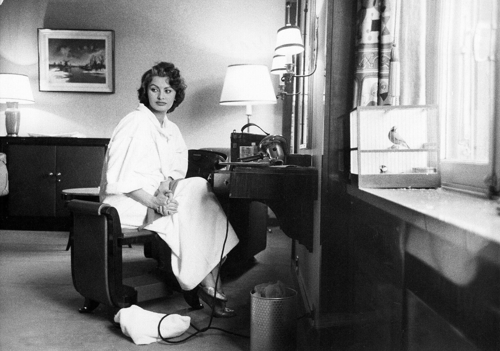 Sophia Loren