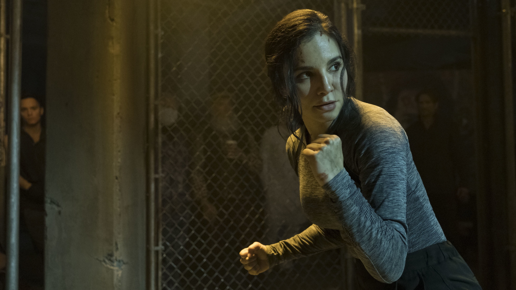 Martha Higareda