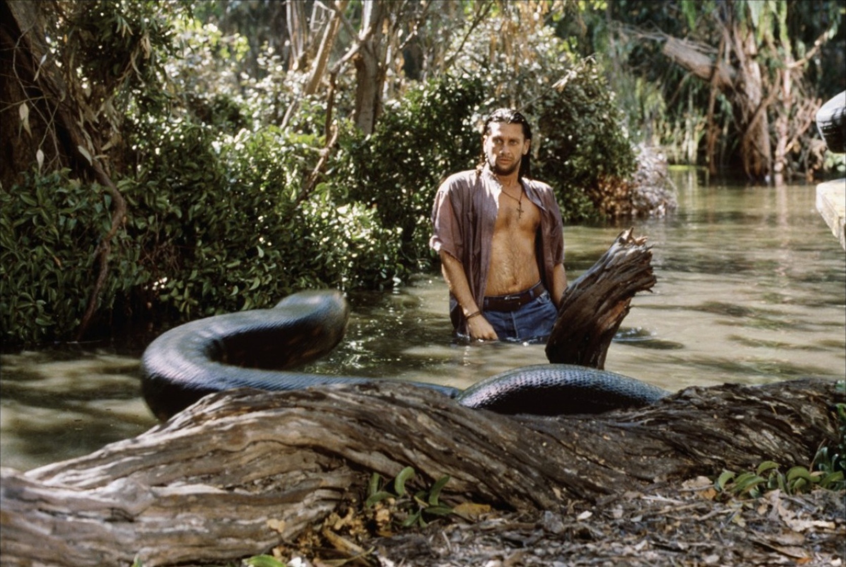 Anaconda