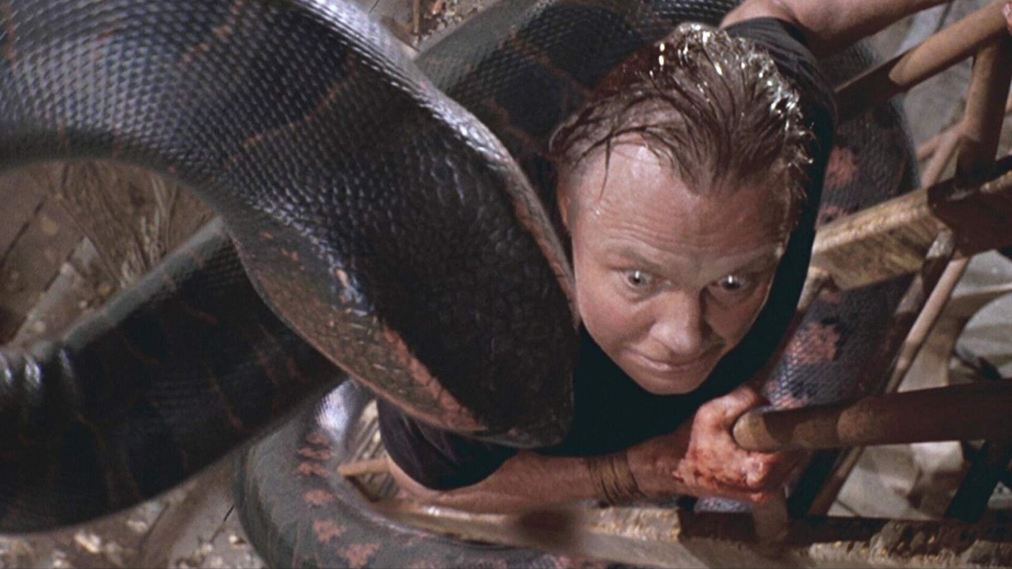 Anaconda