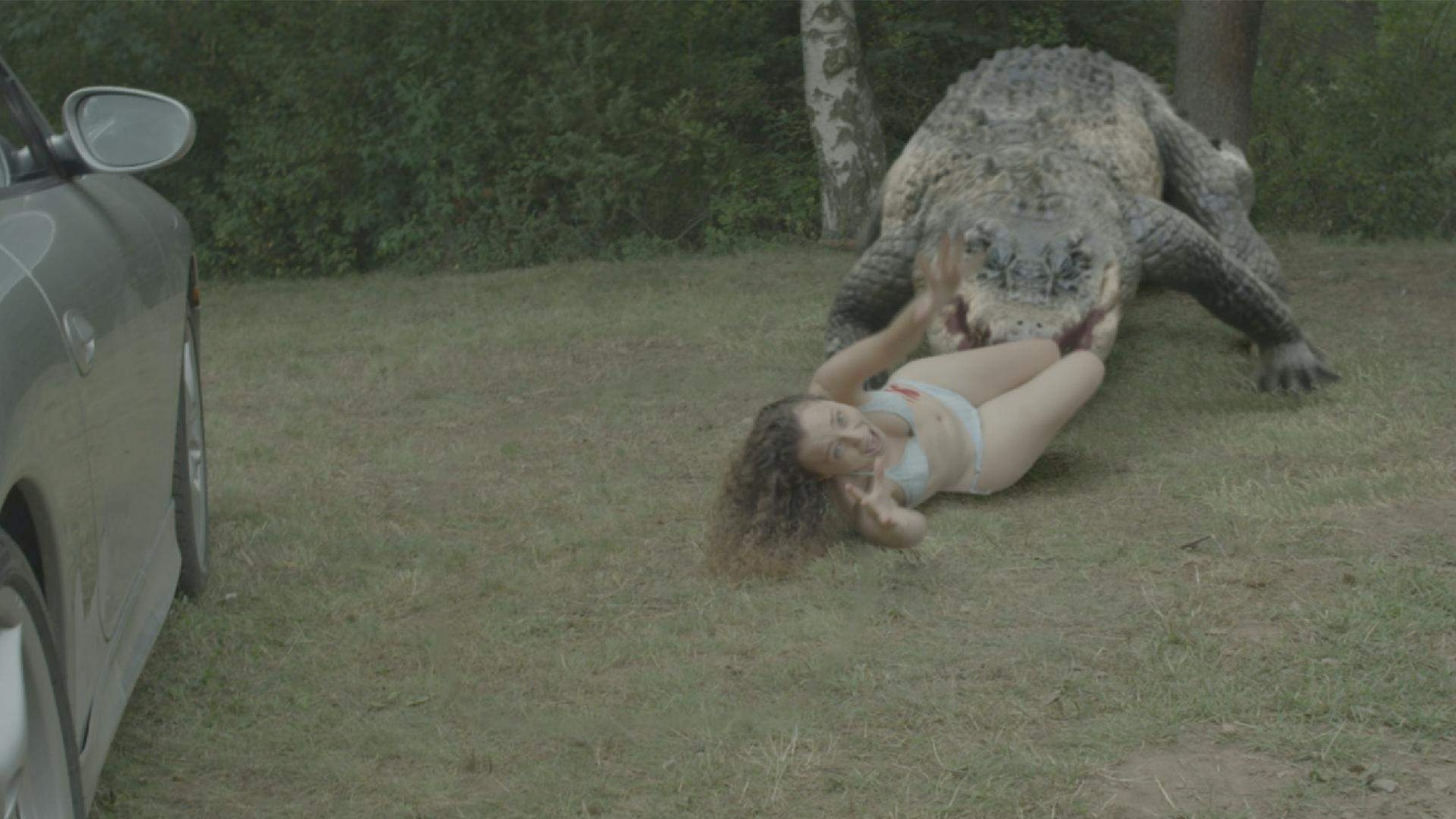 Lake Placid vs. Anaconda