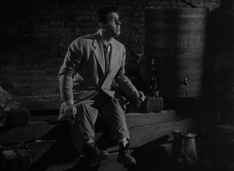 Murder, He Says (1945)