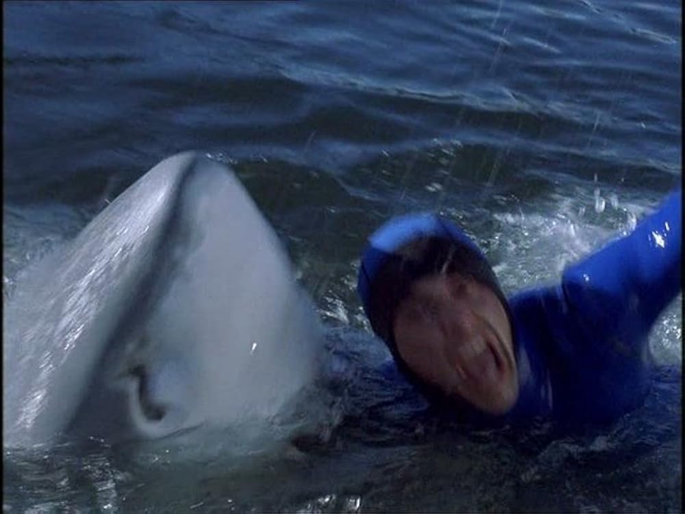 Shark Attack 2