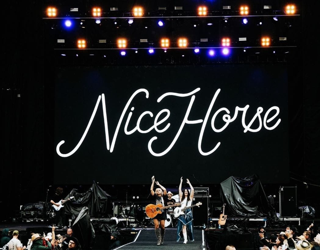 Nice Horse