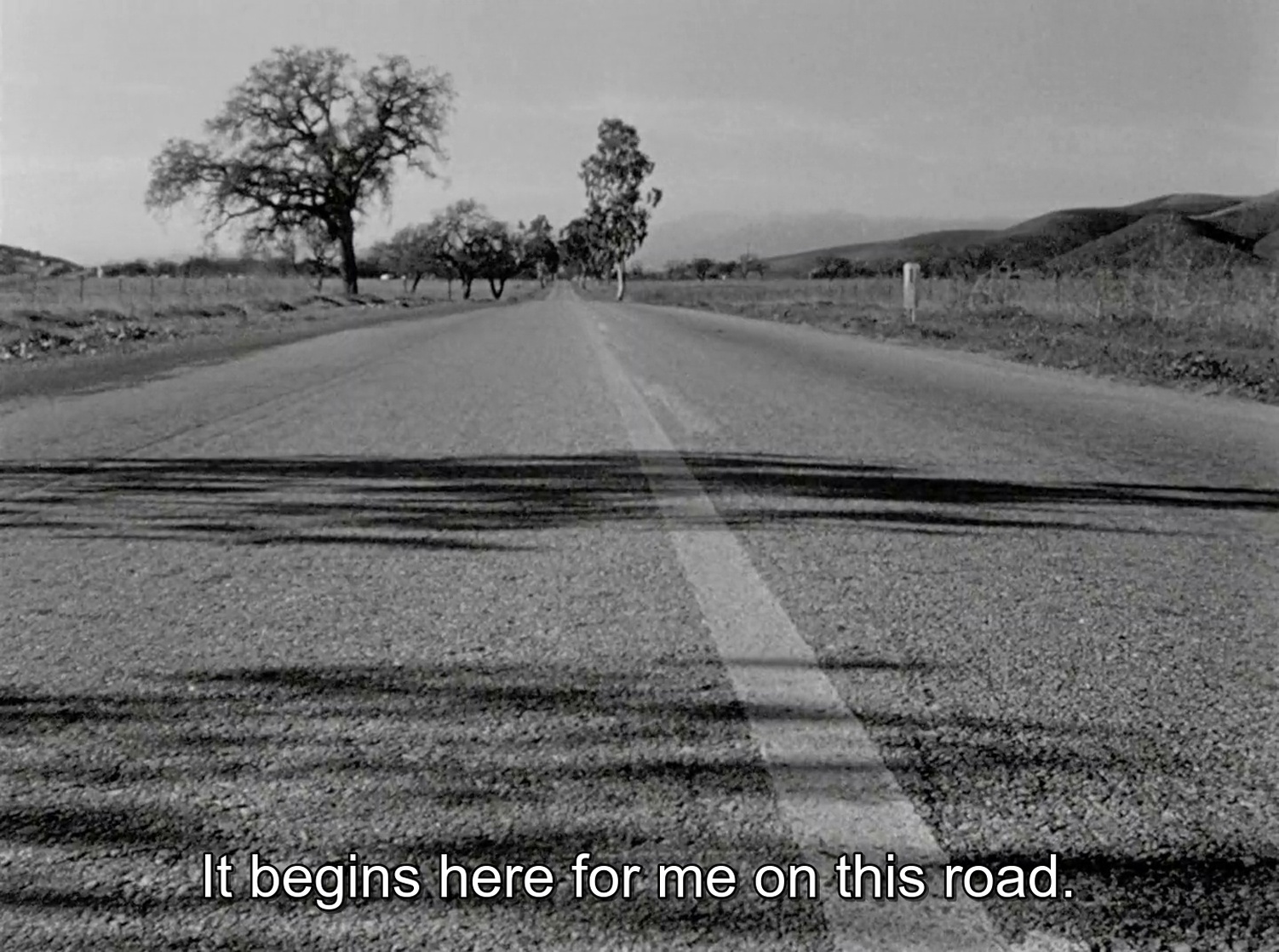 The Wild One (1953) The Wild One (1953)