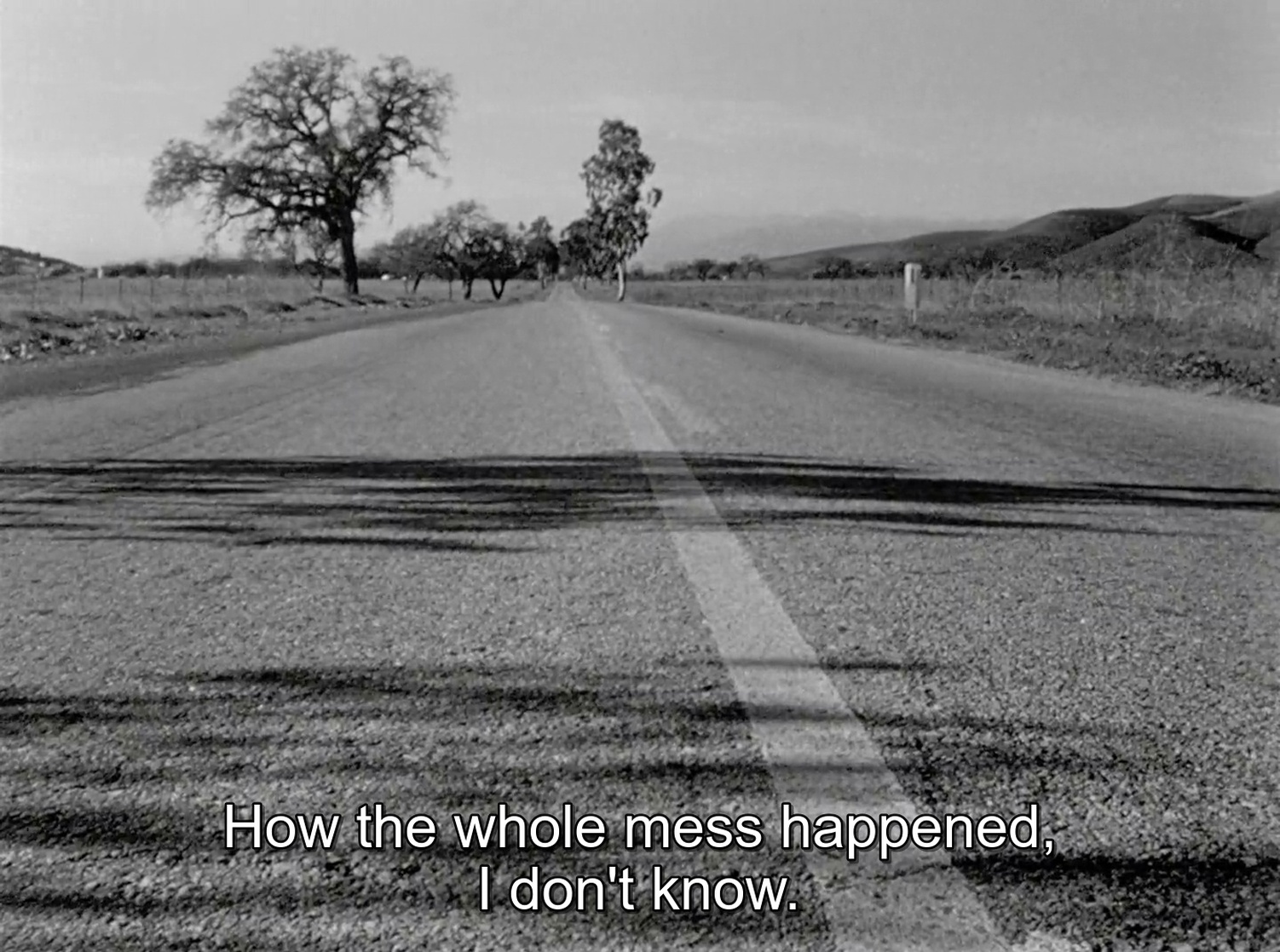The Wild One (1953)