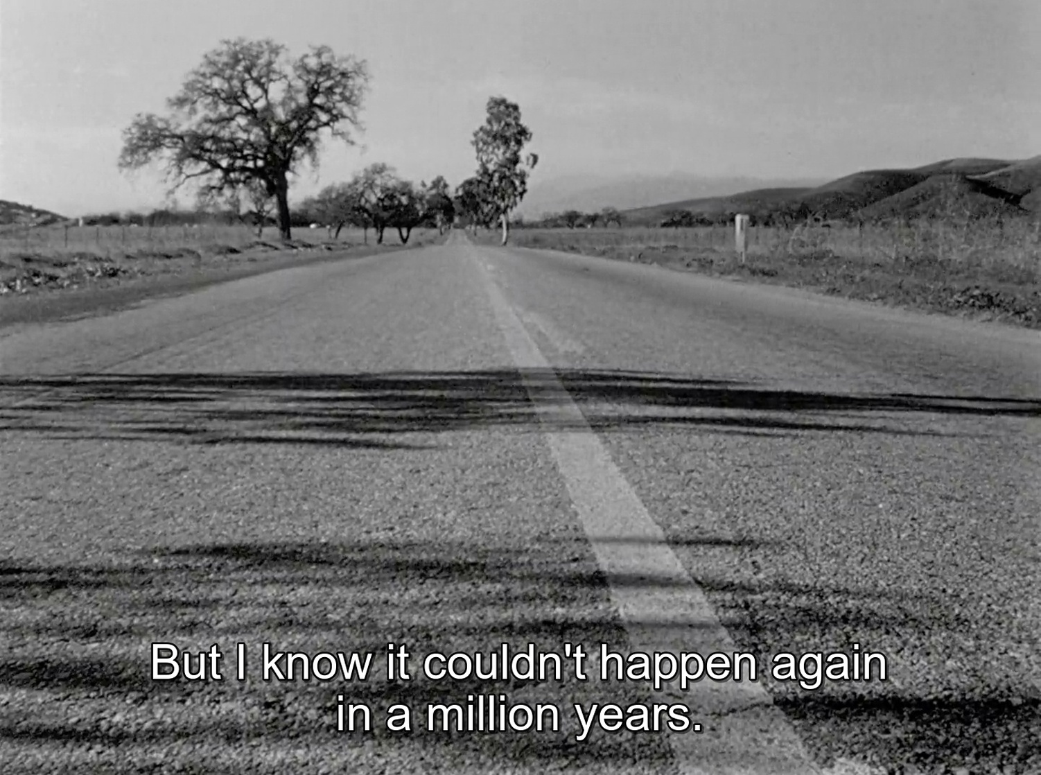 The Wild One (1953)