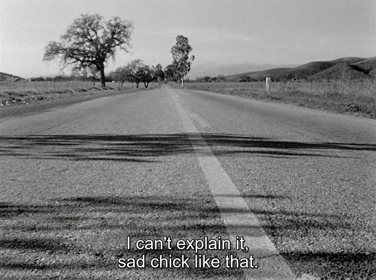 The Wild One (1953)