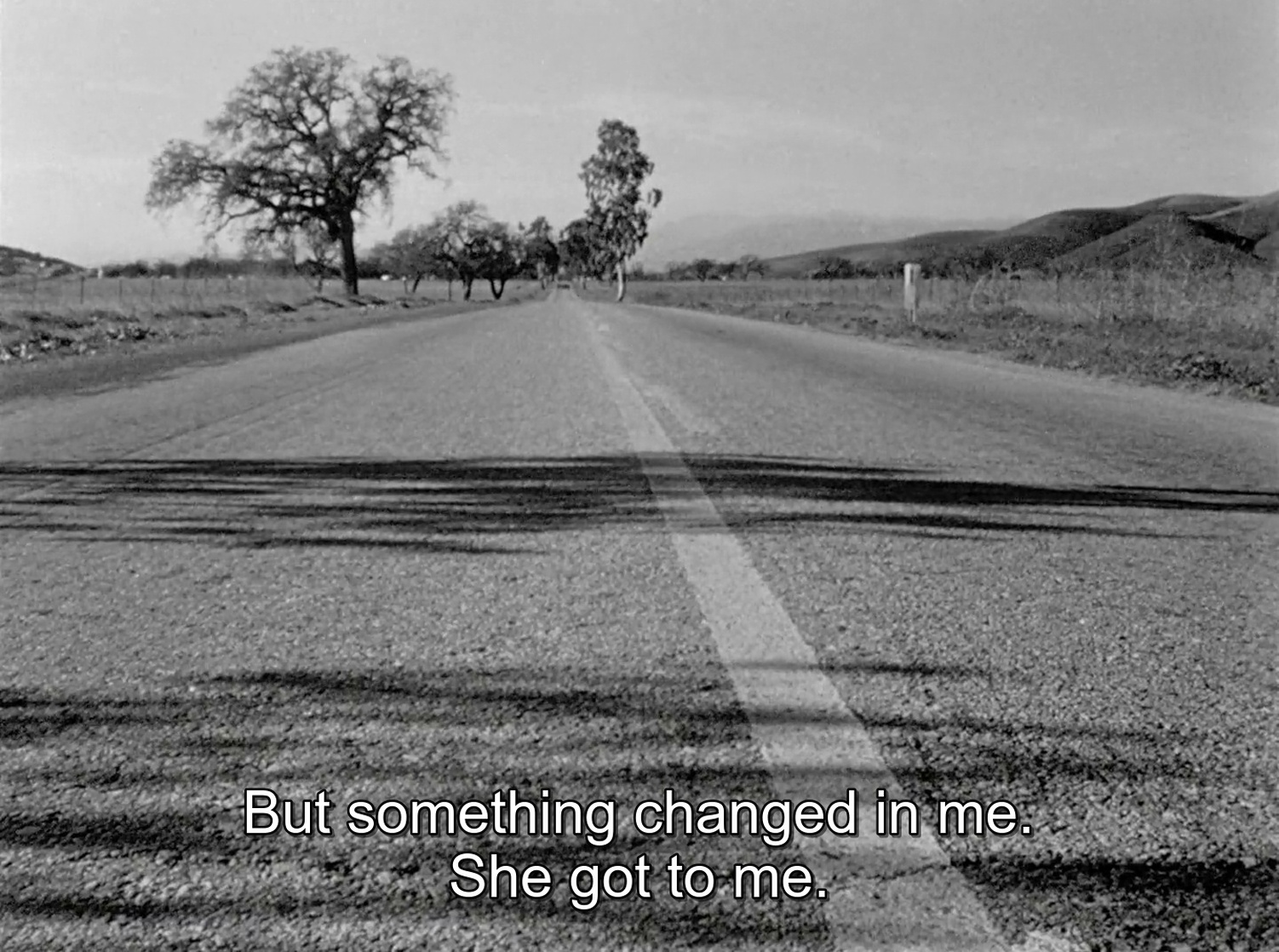 The Wild One (1953)
