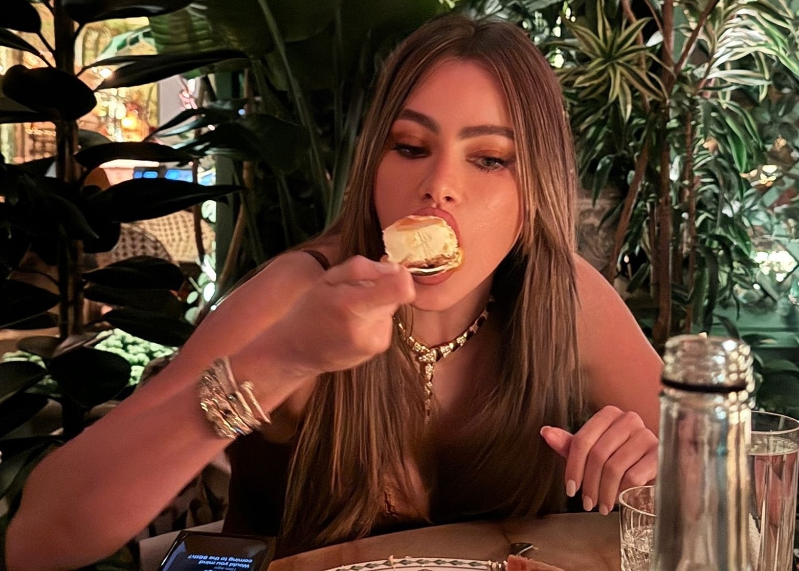 Sofía Vergara