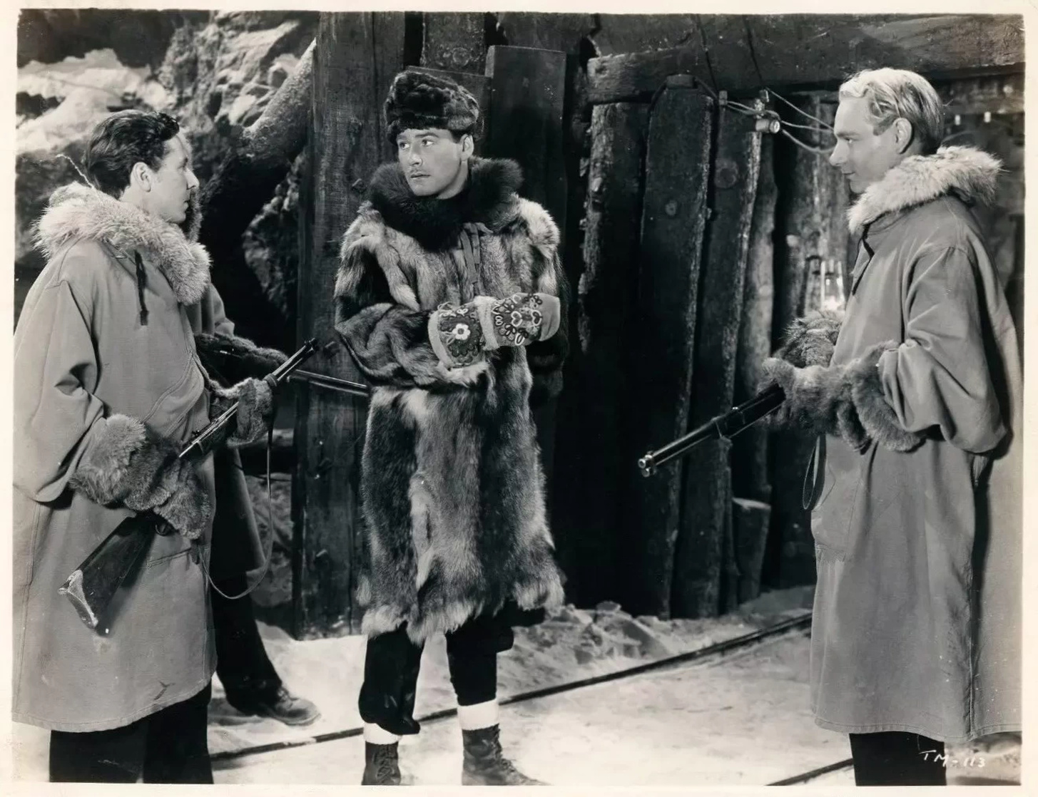 Northern Pursuit