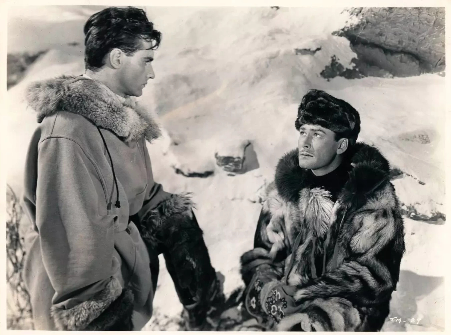 Northern Pursuit
