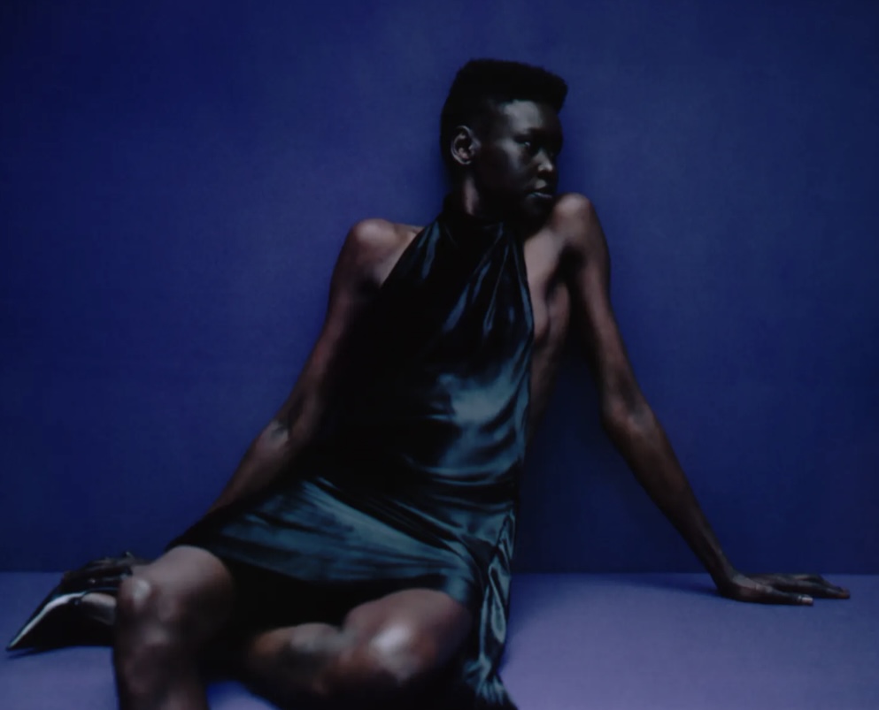 Alek Wek