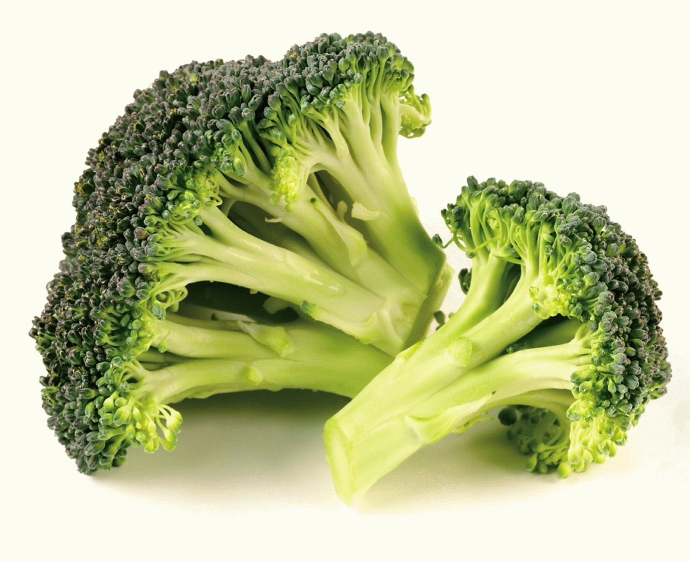 Broccoli Broccoli