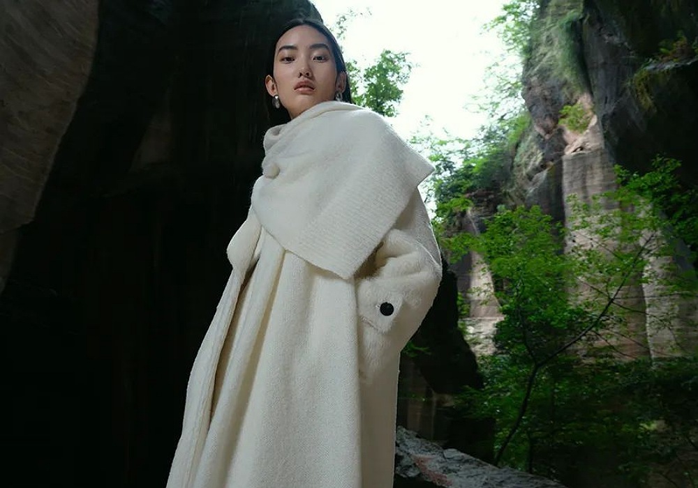 Wang Fei