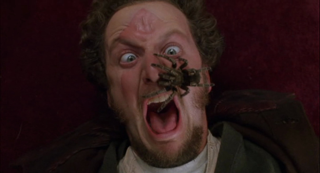 Kevin puts a spider on Marv's face.