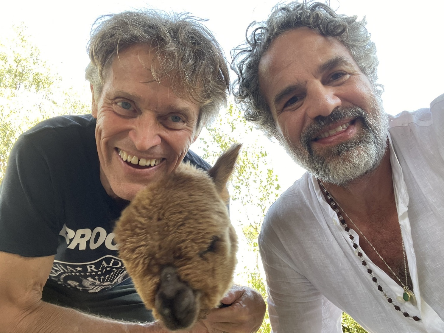 Mark Ruffalo