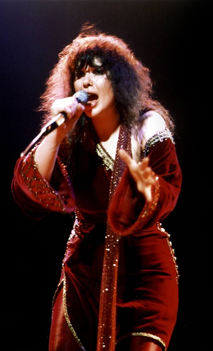 Picture of Ann Wilson