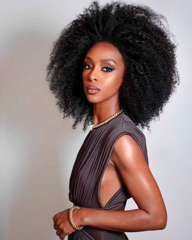 Picture of Ebony Obsidian