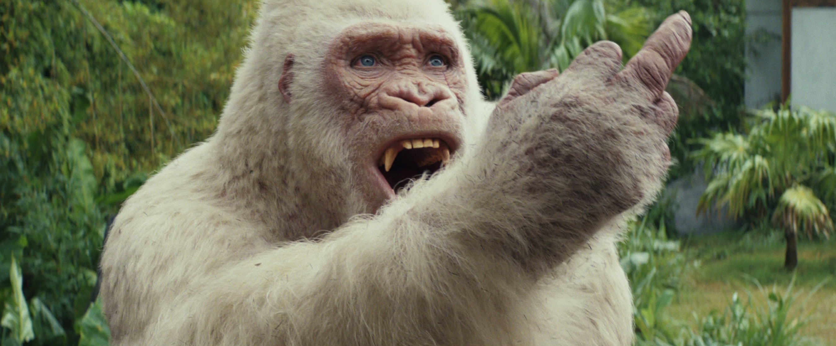 Rampage