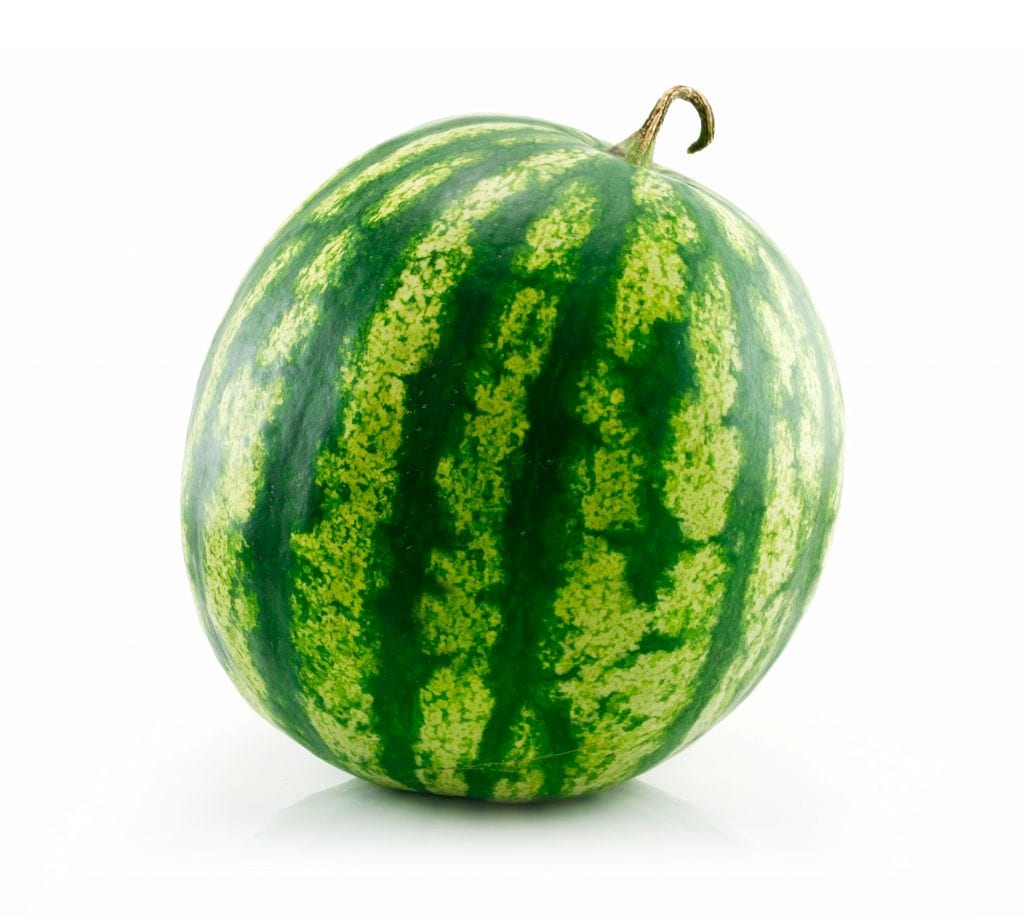 Watermelon Watermelon