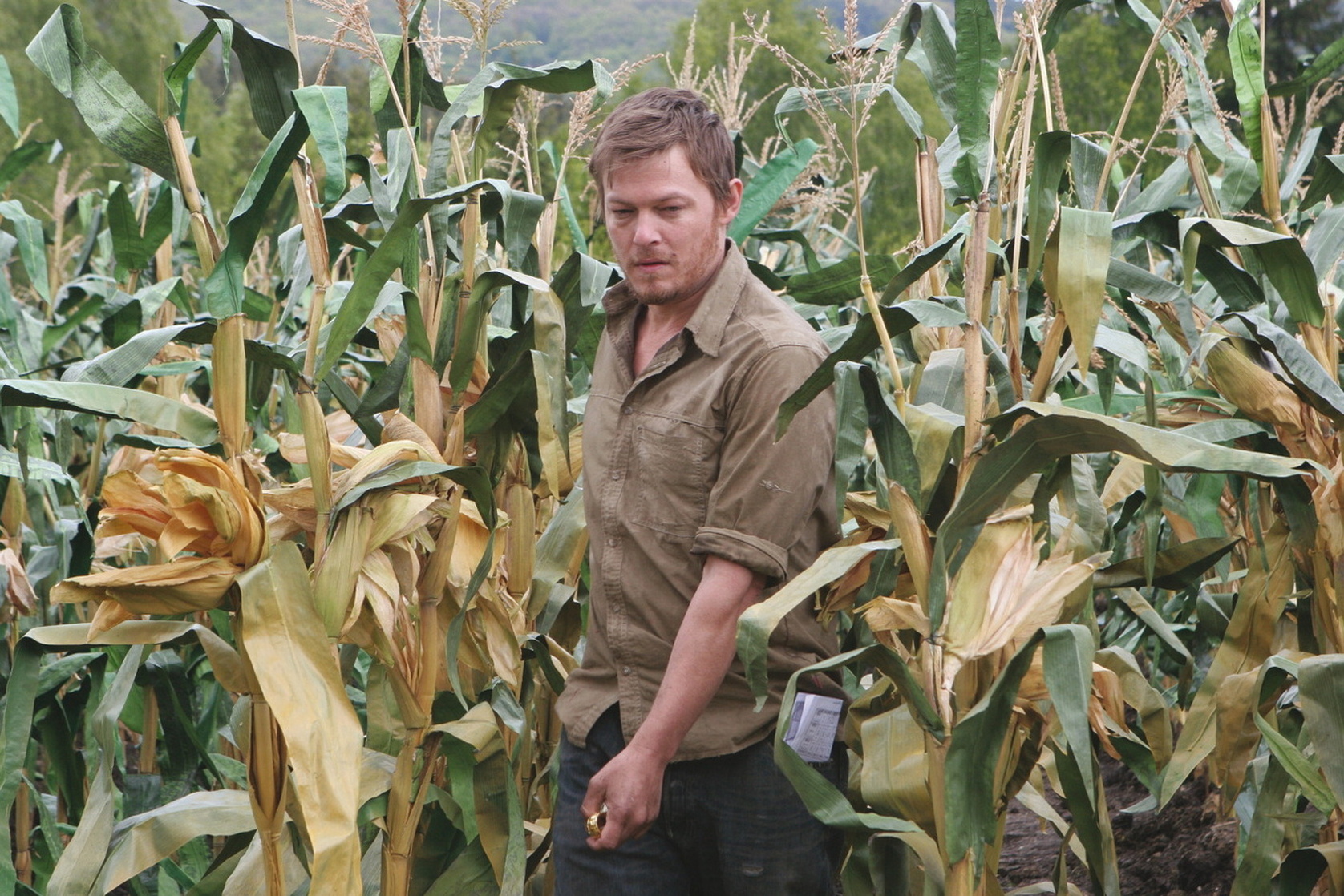 Messengers 2: The Scarecrow (2009)