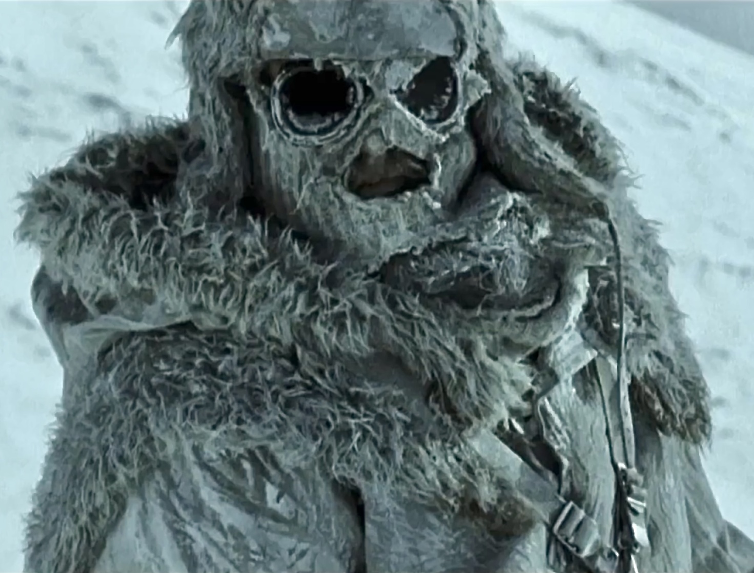 Cold Prey