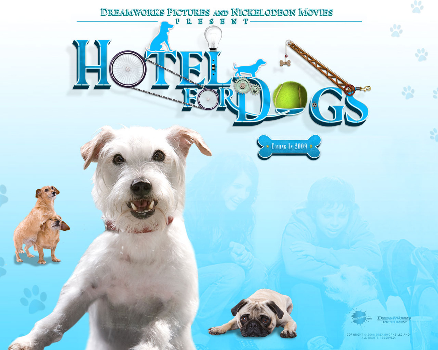 Hotel For Dogs Hotel For Dogs