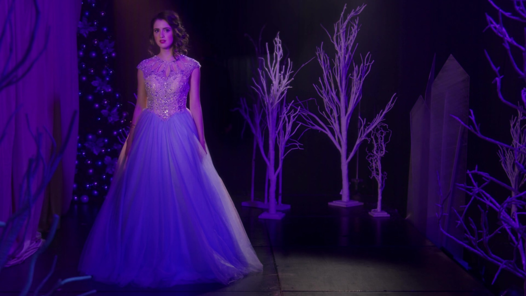 A Cinderella Story: Christmas Wish