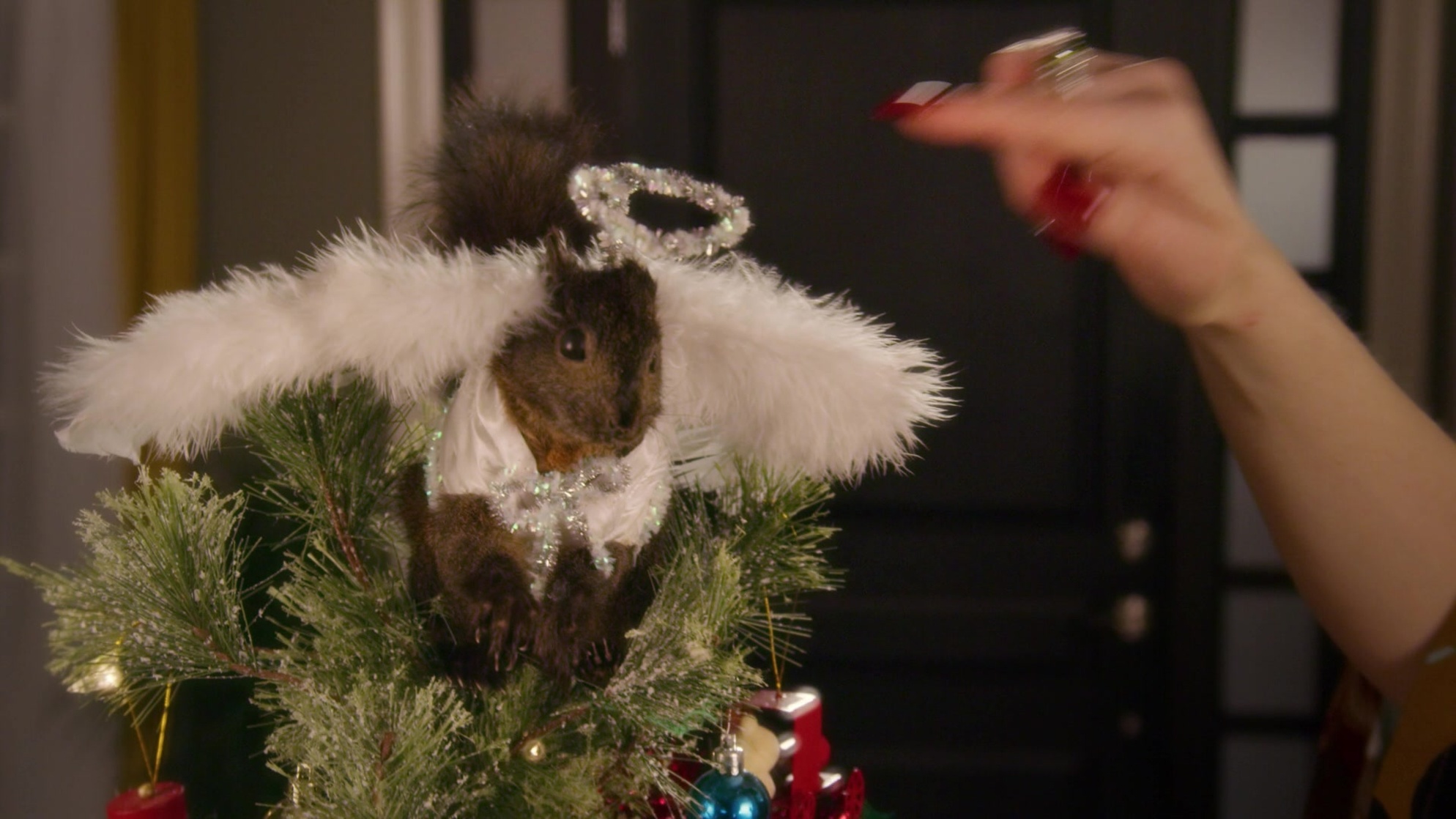 A Cinderella Story: Christmas Wish