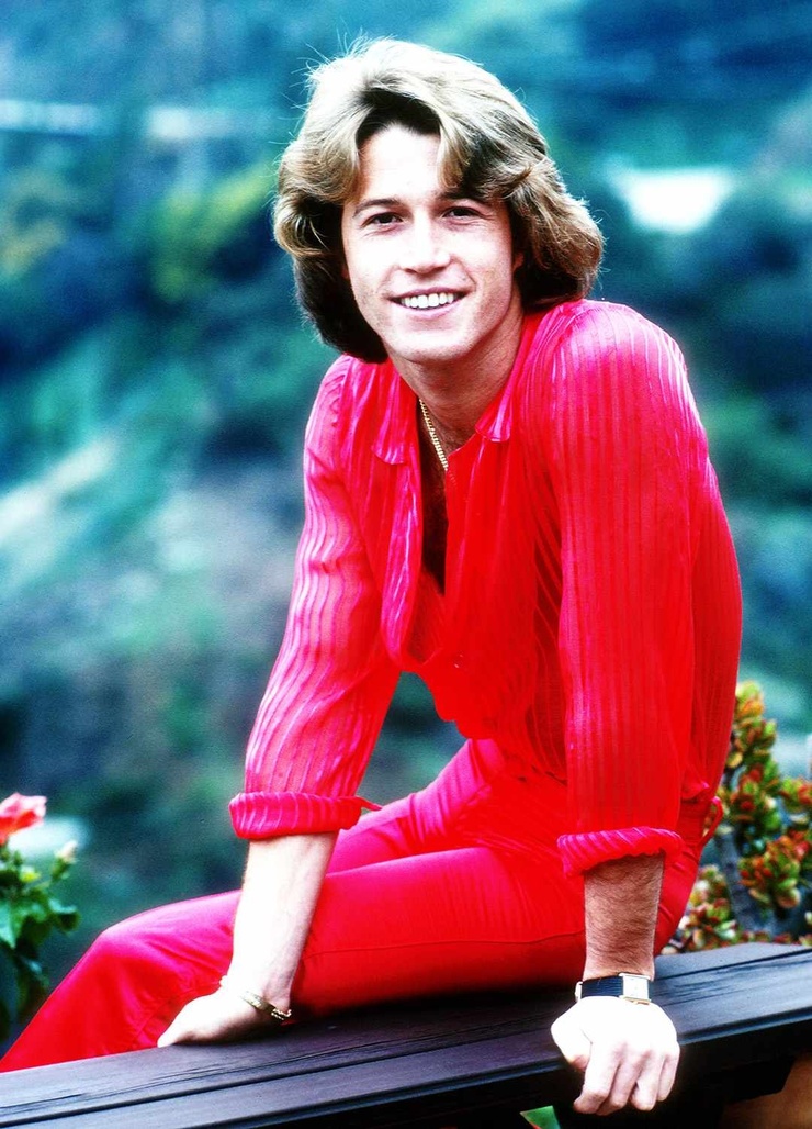 Picture Of Andy Gibb