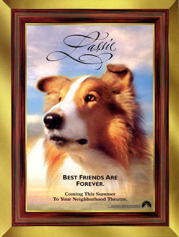 Picture Of Lassie 1994