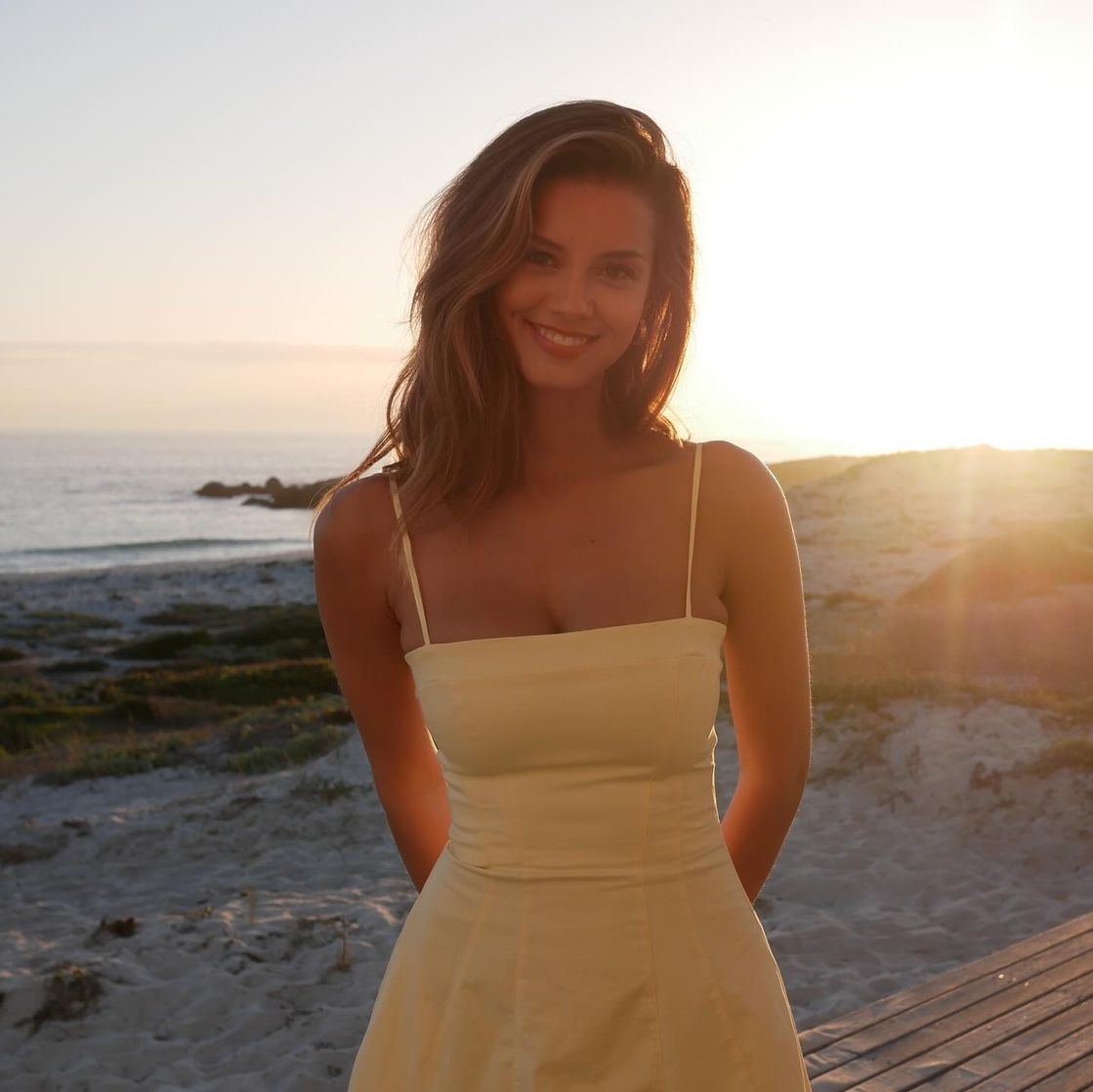 NICOLA CAVANIS