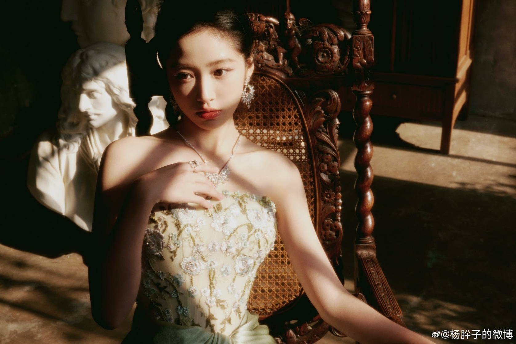 Yang Xi Zi