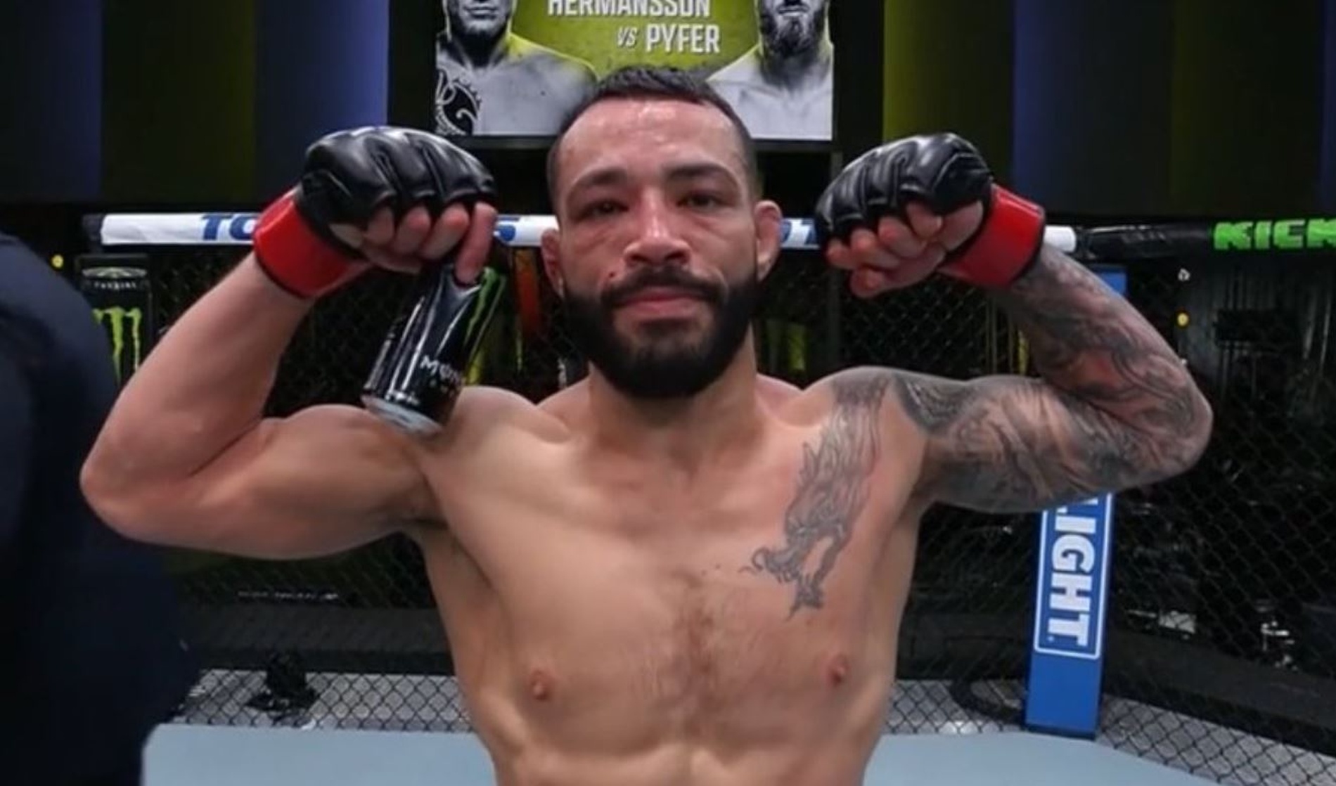 Dan Ige