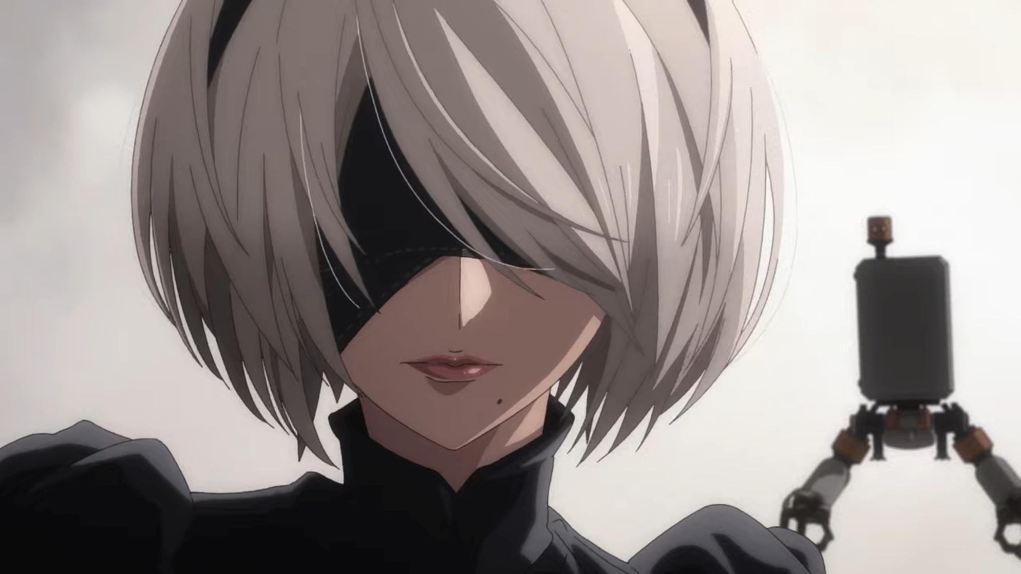 NieR:Automata Ver1.1a