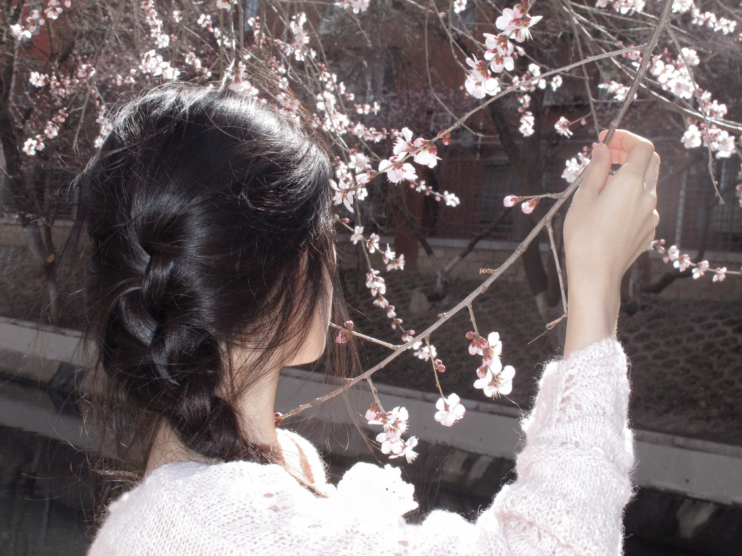 He Qiu