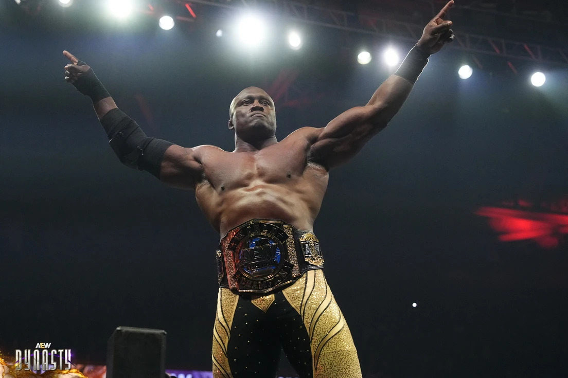 All Elite Wrestling: Dynasty