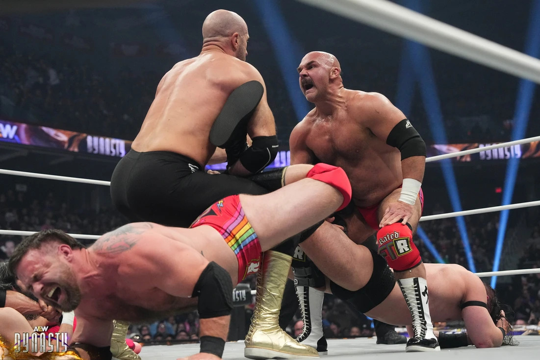 All Elite Wrestling: Dynasty