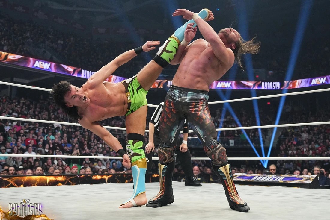 All Elite Wrestling: Dynasty